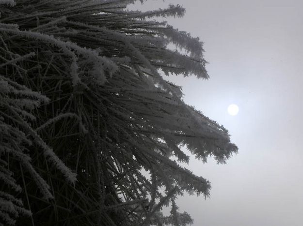 Hoar frost on haystack. Photo by Dawn Ballou, Pinedale Online.