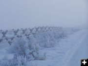 Buck Fence in the snow. Photo by Scott Almdale.