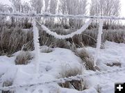 Horse Hair Garland. Photo by Dawn Ballou, Pinedale Online.