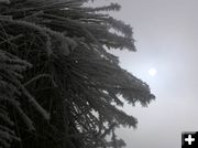 Hoar frost on haystack. Photo by Dawn Ballou, Pinedale Online.