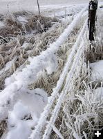 Frost on wire fence. Photo by Dawn Ballou, Pinedale Online.