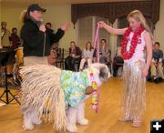 Doggie Fashion Show. Photo by Dawn Ballou, Pinedale Online.