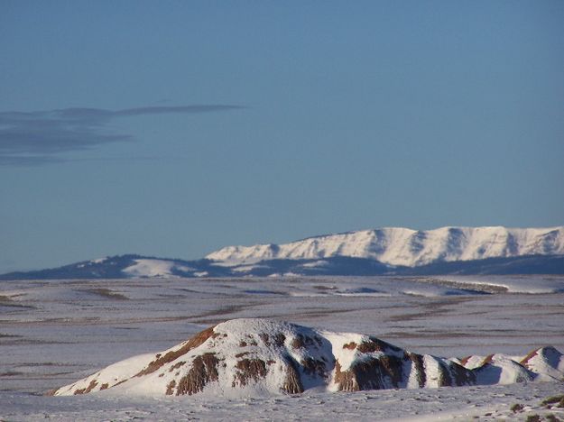 Winter Scene. Photo by Scott Almdale.