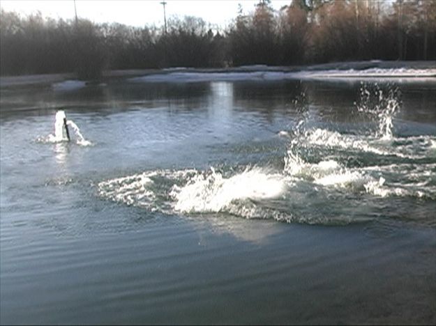 Splashes. Photo by Dawn Ballou, Pinedale Online.