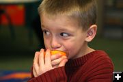 Oranges. Photo by Pam McCulloch, Pinedale Online.