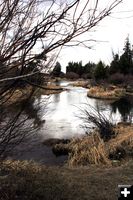 Pine Creek. Photo by Pam McCulloch.