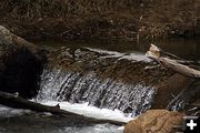 Pine Creek Clear Water. Photo by Pam McCulloch.