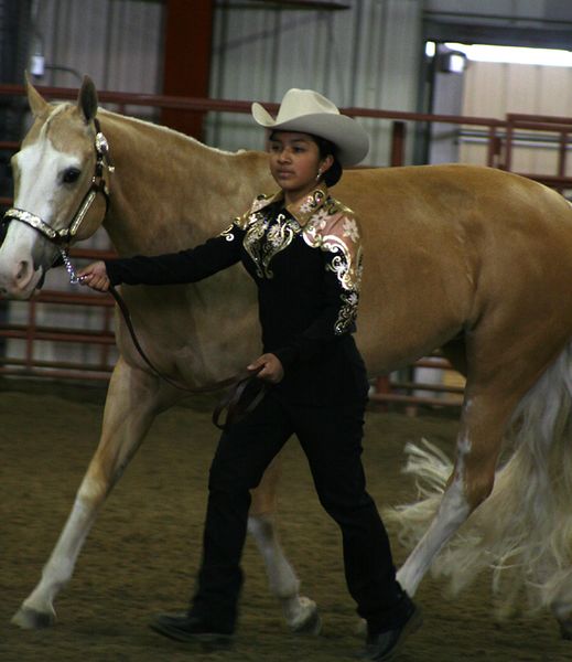 Trotting with Horse. Photo by Pam McCulloch.