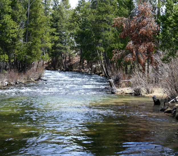 Fall Creek. Photo by Meghan Delmore.