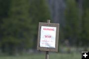 Bear sign. Photo by Cat Urbigkit, Pinedale Online.