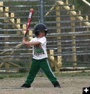 Little League Batter. Photo by Pam McCulloch.