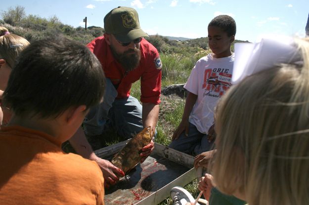 Fish Anatomy. Photo by Pam McCulloch, Pinedale Online.