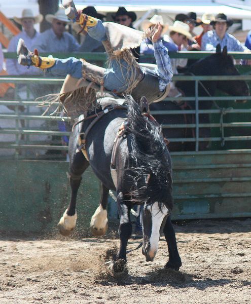 Austin Doyle. Photo by Clint Gilchrist, Pinedale Online.