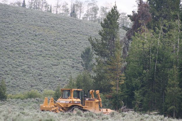 Dozer sits ready. Photo by Dawn Ballou, Pinedale Online.