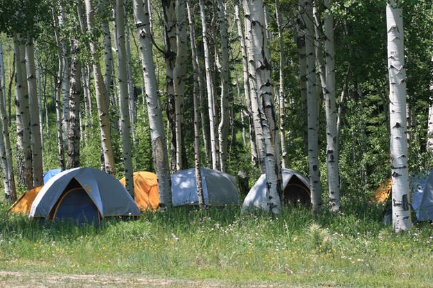 Fire Camp Tents. Photo by Dawn Ballou, Pinedale Online.