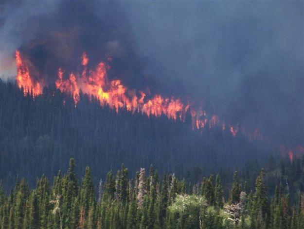 Line of flames. Photo by Allene Dana.