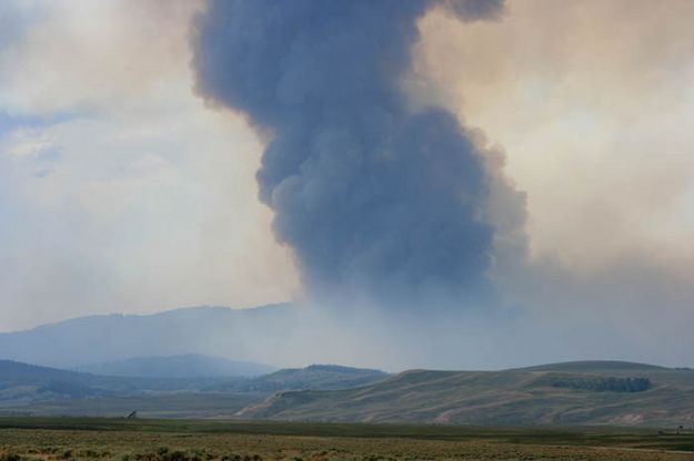 Ground smoke. Photo by Dawn Ballou, Pinedale Online.