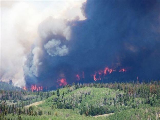 Horse Creek Fire Flames. Photo by Allene Dana.