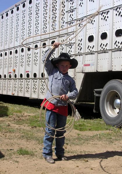 Ira swinging his rope. Photo by Dawn Ballou, Pinedale Online.