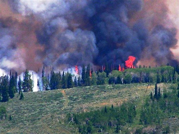 Torching Trees. Photo by Heather Kavran.