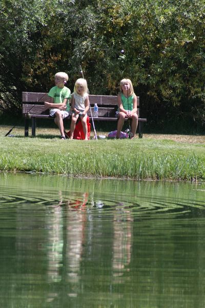 Reflections. Photo by Pam McCulloch.