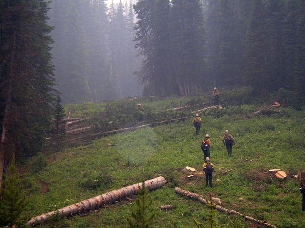 Fire fighters. Photo by Bridger-Teton National Forest.