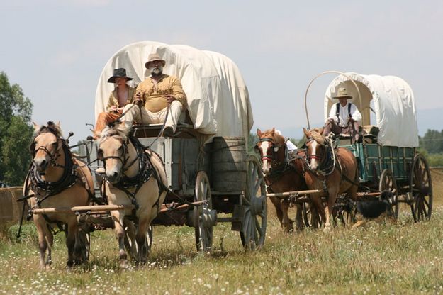 Supply Wagons. Photo by Dawn Ballou, Pinedale Online.