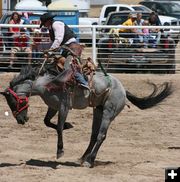 Before the Wreck. Photo by Dawn Ballou, Pinedale Online.