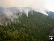 Spot Fires. Photo by Bridger-Teton National Forest.