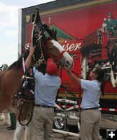 Taking off harness. Photo by Dawn Ballou, Pinedale Online.