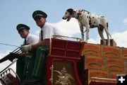 Wagonmasters. Photo by Dawn Ballou, Pinedale Online.