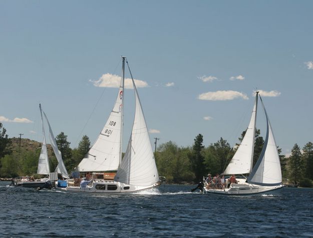 Sailing. Photo by Mindi Crabb.