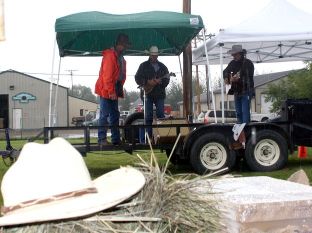 Buffalo Grass. Photo by Pam McCulloch.