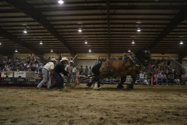 Lennie Campbell. Photo by Dawn Ballou, Pinedale Online.