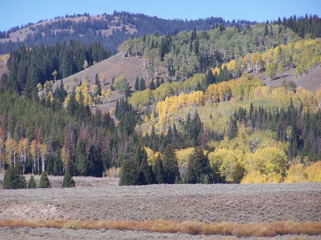 Late September colors. Photo by Scott Almdale.