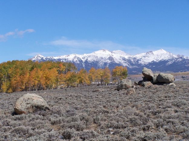 Boulder Aspens. Photo by Scott Almdale.