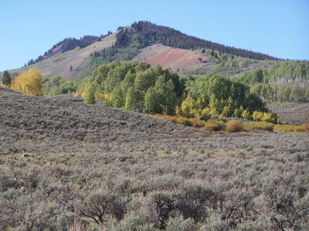 Union Pass Fall Colors. Photo by Scott Almdale.