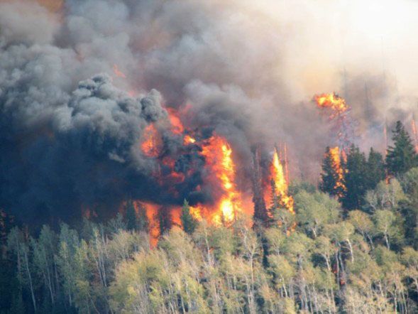 Firs, fire and aspen. Photo by Kenna Tanner.