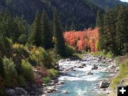 Greys River colors. Photo by Scott Almdale.