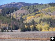 Late September colors. Photo by Scott Almdale.