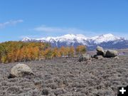 Boulder Aspens. Photo by Scott Almdale.