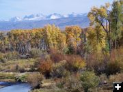 Boulder Creek. Photo by Scott Almdale.