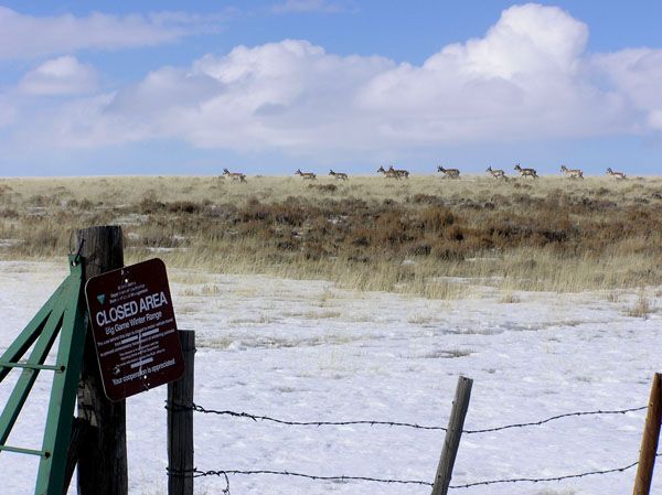 Wildlife Closure. Photo by Pinedale Online.