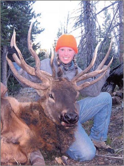 7-point bull elk. Photo by Kim Bright.