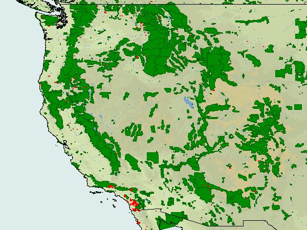 Wildfire Map Oct 24. Photo by MODIS Rapid Response.