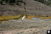 Fish Barrier. Photo by Clint Gilchrist, Pinedale Online.