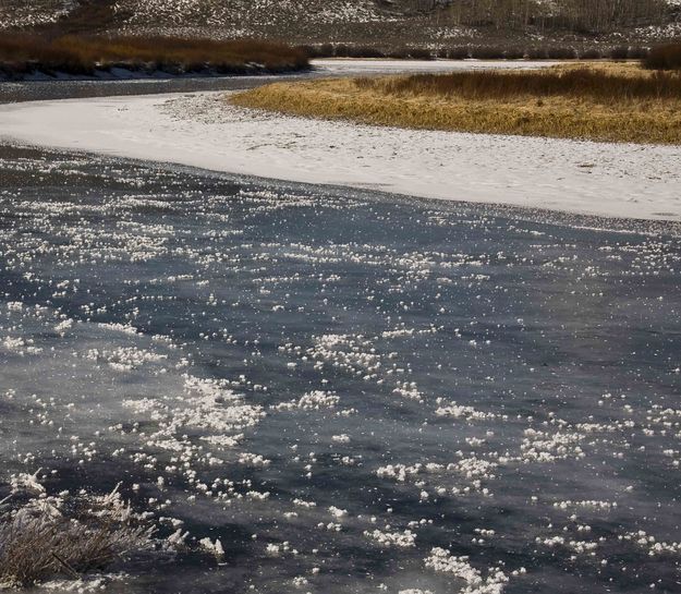 Frozen Solid. Photo by Dave Bell.