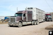 Stock Trucks Waiting. Photo by Joy Ufford.