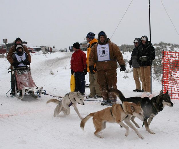 McClenon family mushers. Photo by Dawn Ballou, Pinedale Online.