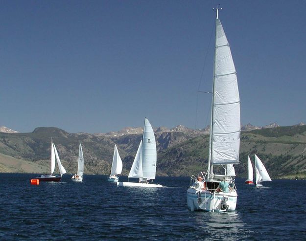 Sail boats. Photo by Pinedale Online.